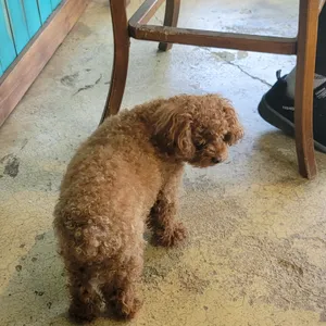 카페프레이즈 리뷰 사진