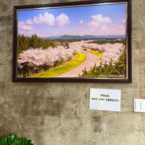 함덕골목 리뷰 사진