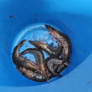평전양식장 리뷰 사진