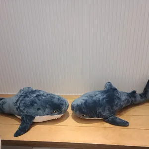 블루샥 리뷰 사진