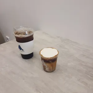 블루샥 사진
