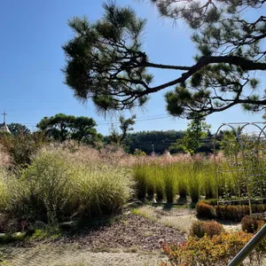 화림원 리뷰 사진