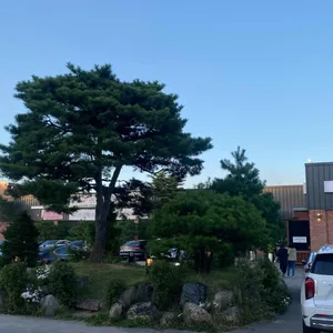 설문커피 리뷰 사진