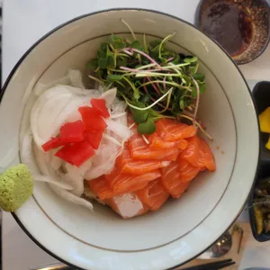 겐코 사진