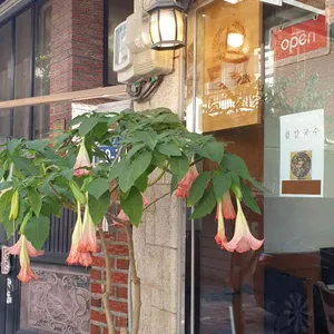 북촌집 사진 2