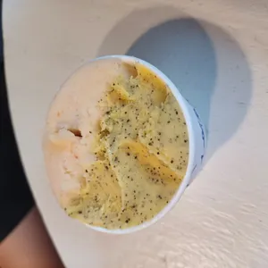코타티 사진