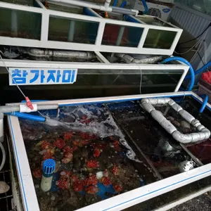 강원횟집6호 리뷰 사진