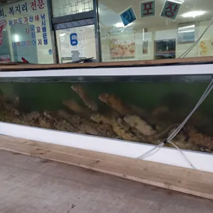 강원횟집6호 리뷰 사진