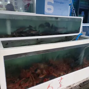 강원횟집6호 리뷰 사진
