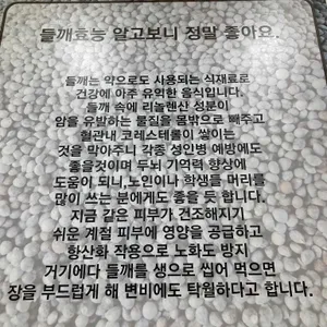 천마산메밀가 리뷰 사진