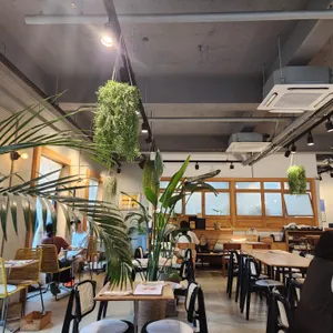 애즈라이크 리뷰 사진