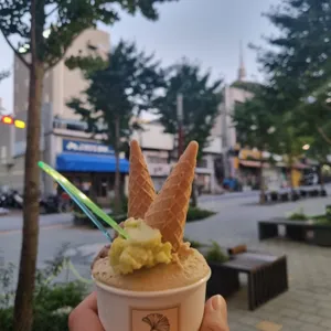 젤라떼리아 징코 사진