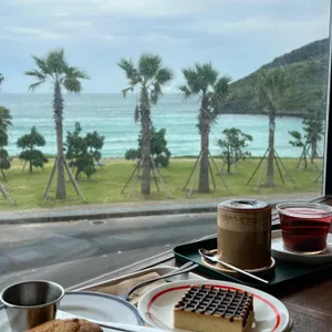 데이빗 보이 사진