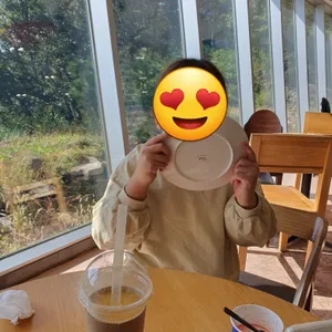 빨라쪼델프레도 사진