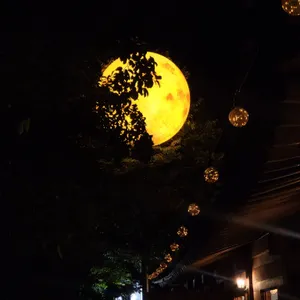 월영당 리뷰 사진