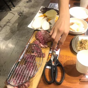 거북이동네 사진