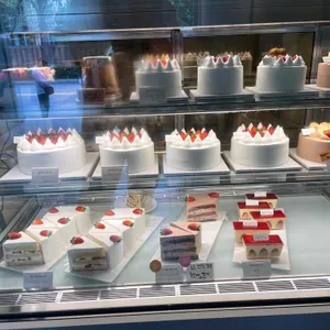 피오니 리뷰 사진