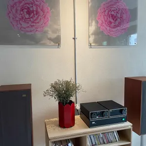 피오니 리뷰 사진