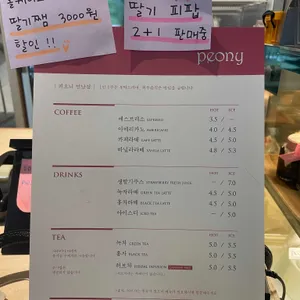 피오니 리뷰 사진