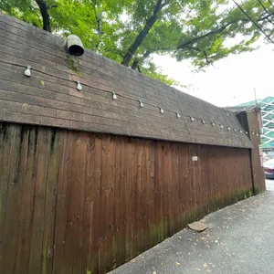 제주면장 리뷰 사진