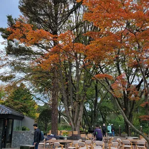 카페 아일래나 라운지 리뷰 사진