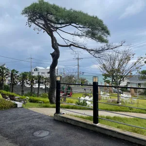 나인유 리뷰 사진