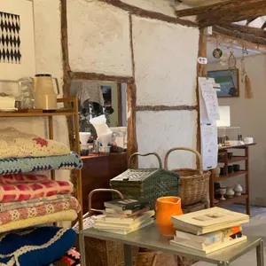 테일 리뷰 사진