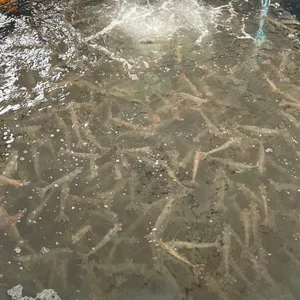 대하수산 외식공간 사진