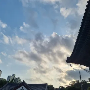 봉은사 서래원 리뷰 사진