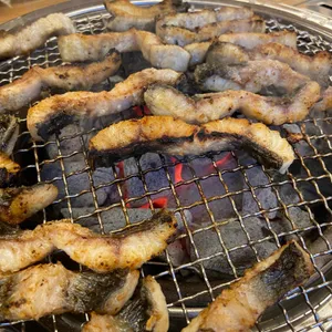 폭풍장어 사진