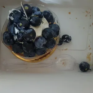 옵스 리뷰 사진