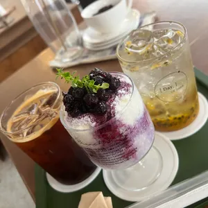 데이오브위크 사진