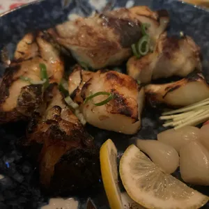 코지로 사진