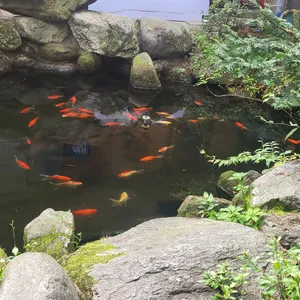 황금정원 리뷰 사진