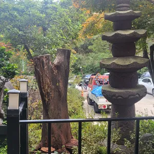 황금정원 리뷰 사진