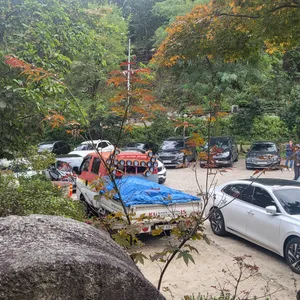 황금정원 리뷰 사진