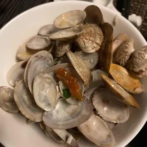 토모 사진