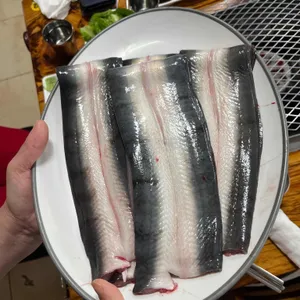 섬진강민물장어 사진