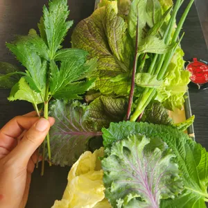 산들애우렁쌈밥 사진