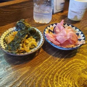 숲 사진