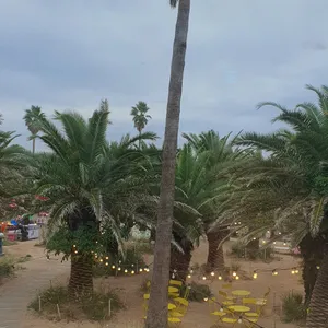 카페 노티드 리뷰 사진