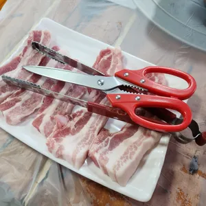 초구똥돼지 사진