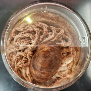 스타벅스 리뷰 사진