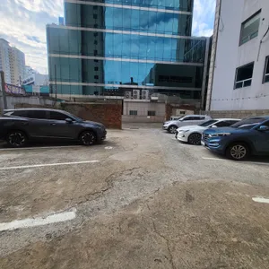 노티스 리뷰 사진