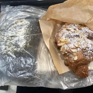 라떼또뜨 사진