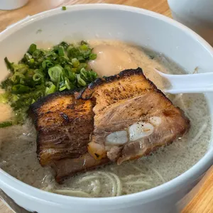 코이라멘 사진