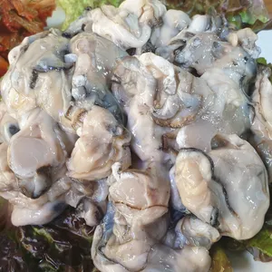 굴따세 사진