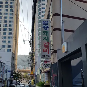 일송면옥 리뷰 사진