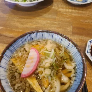 설스시 사진
