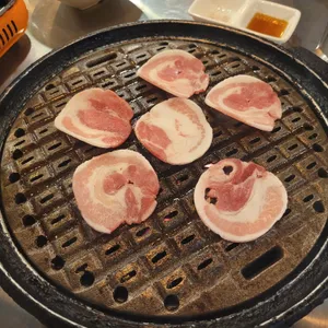 접시고기 사진